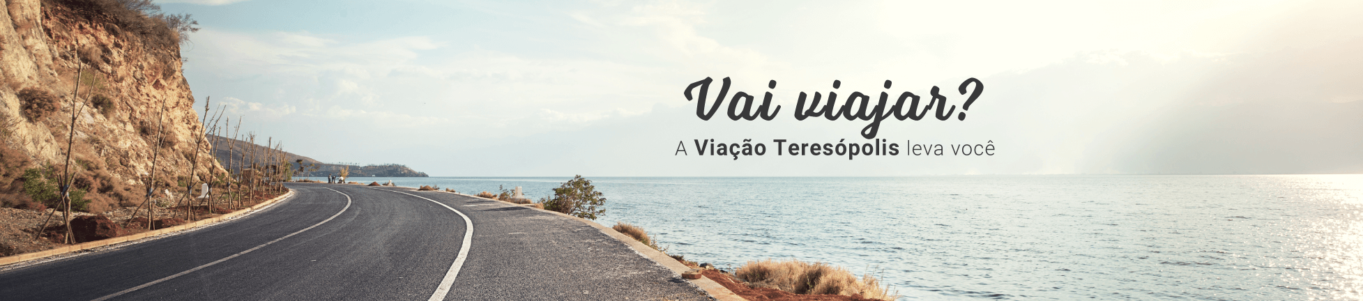(c) Viacaoteresopolis.com.br